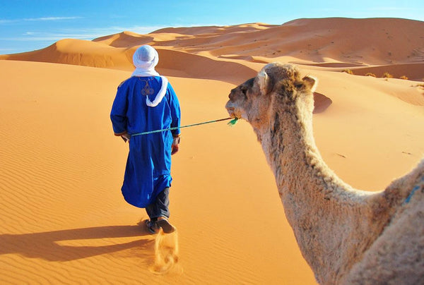 Bucket list: Camel trek in the Sahara Desert